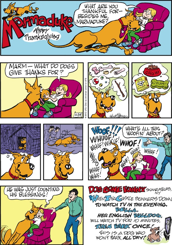 marmaduke